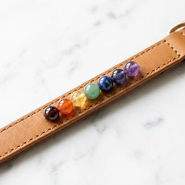 Seven Chakra Pet Collar — Balance All Energies (Natural Gemstone)