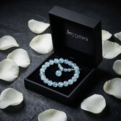 Aquamarine Matching Set - Spiritual Pet Accessory & Crystal Jewelry | Joypaws