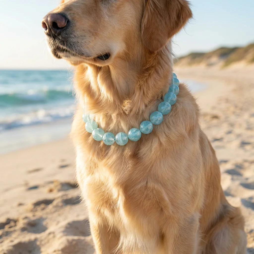 Master Selection: Fortune Flux - Amazonite Healing Bracelet